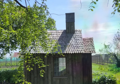 Fruitteeltbedrijf de Ring - Boomgaard12