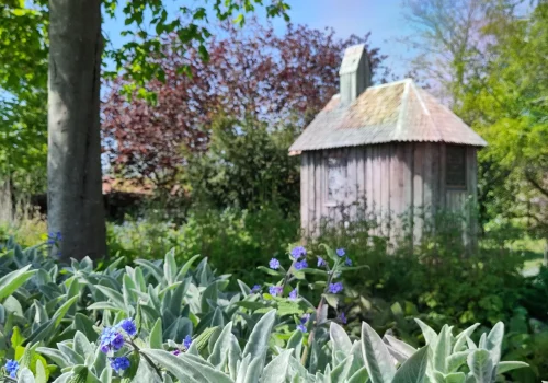 Fruitteeltbedrijf de Ring - Boomgaard13