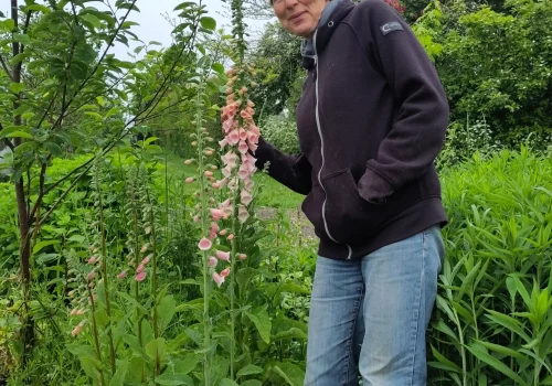 Fruitteeltbedrijf de Ring - Boomgaard17