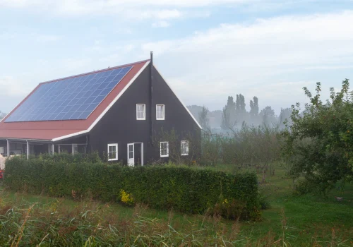 Fruitteeltbedrijf de Ring - Boomgaard2