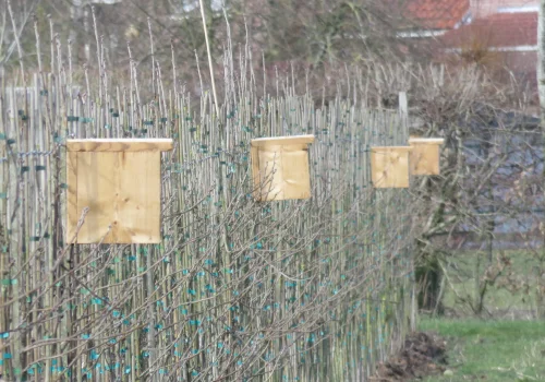 Fruitteeltbedrijf de Ring - Boomgaard8