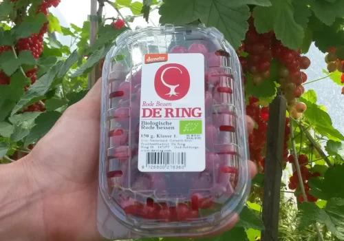 Fruitteeltbedrijf de Ring - Handel2