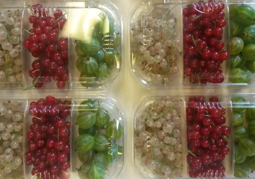 Fruitteeltbedrijf de Ring - Handel3