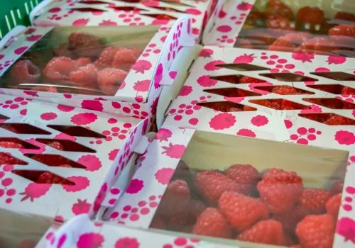 Fruitteeltbedrijf de Ring - Handel5