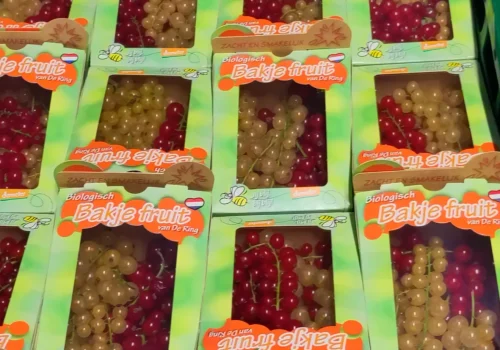 Fruitteeltbedrijf de Ring - Handel6