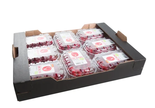 Fruitteeltbedrijf de Ring - Handel7