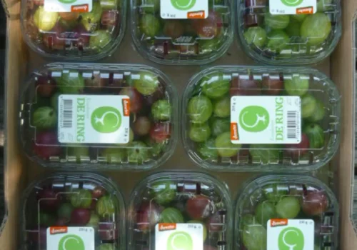 Fruitteeltbedrijf de Ring - Handel8