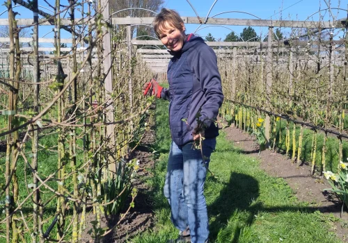 Over Fruitteeltbedrijf de Ring2