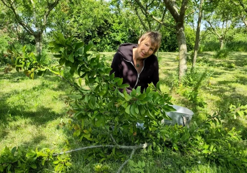 Werken bij Fruitteeltbedrijf de Ring10