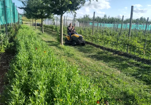 Werken bij Fruitteeltbedrijf de Ring11