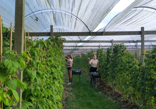 Werken bij Fruitteeltbedrijf de Ring13
