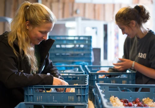 Werken bij Fruitteeltbedrijf de Ring18