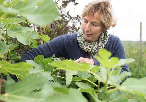 Werken bij Fruitteeltbedrijf de Ring21