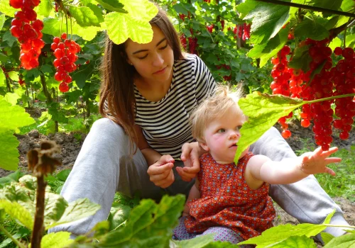 Werken bij Fruitteeltbedrijf de Ring22