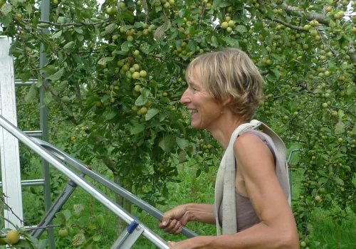 Werken bij Fruitteeltbedrijf de Ring23