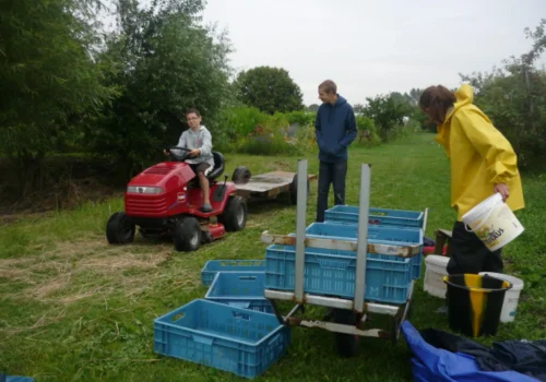 Werken bij Fruitteeltbedrijf de Ring27