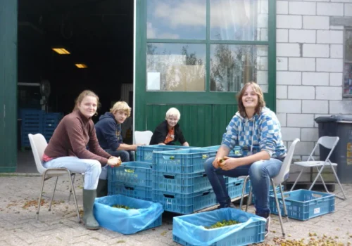 Werken bij Fruitteeltbedrijf de Ring32