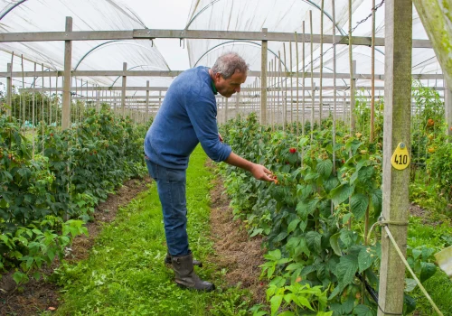 Werken bij Fruitteeltbedrijf de Ring4