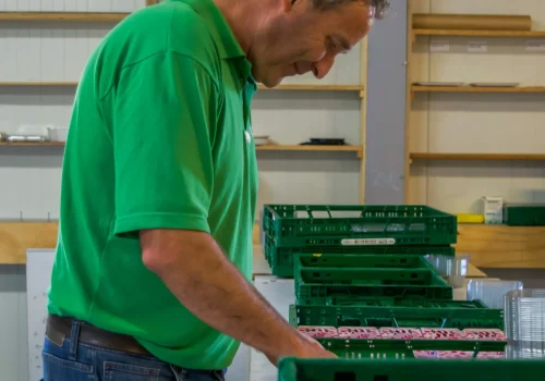 Werken bij Fruitteeltbedrijf de Ring5