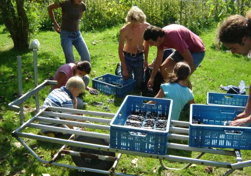 Werken bij Fruitteeltbedrijf de Ring8